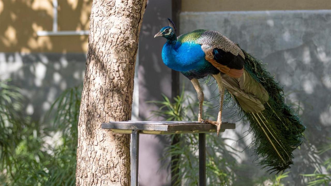 Birds Resort Hambantota Eksteriør bilde