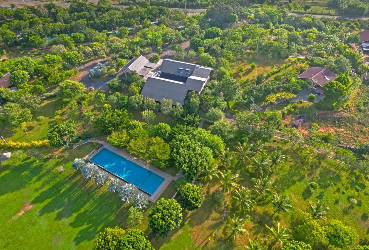 Birds Resort Hambantota Eksteriør bilde