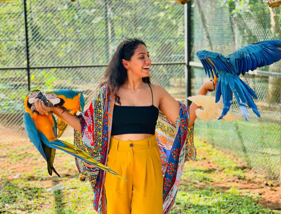 Birds Resort Hambantota Eksteriør bilde